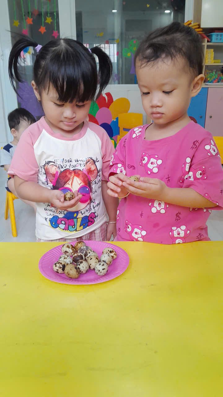 Kỹ năng sống: Bé tập bóc vỏ trứng cút tại Lớp Mẫu Giáo Hoa Nắng