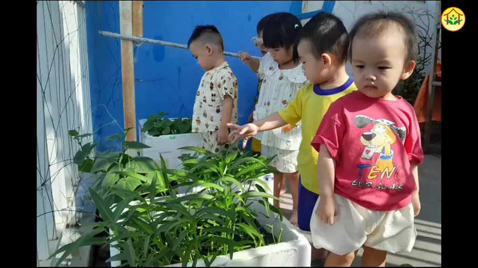 Bé tham quan vườn rau: trải nghiệm xanh tại Hoa Nắng Nhà Bè